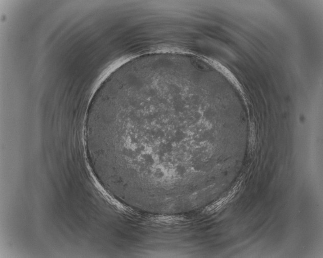 X0000085270847200703231739