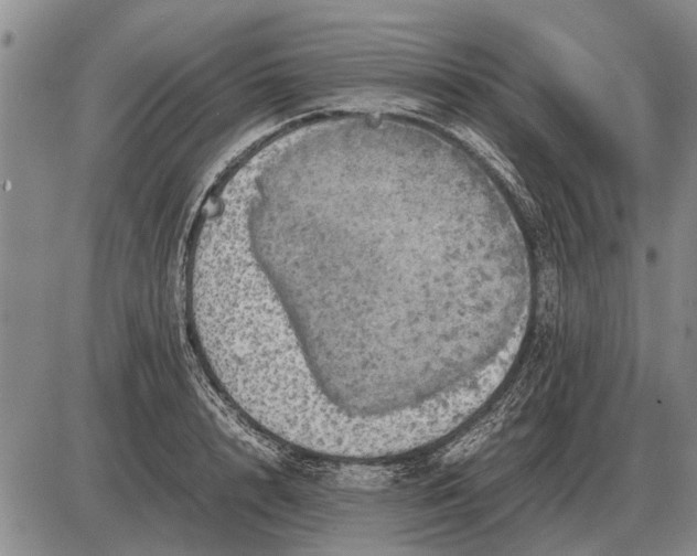 X0000085270848200703231739