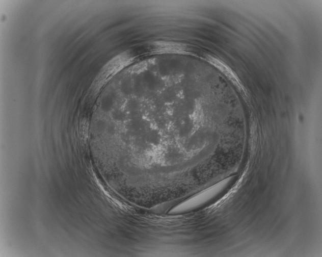 X0000085270849200703231739