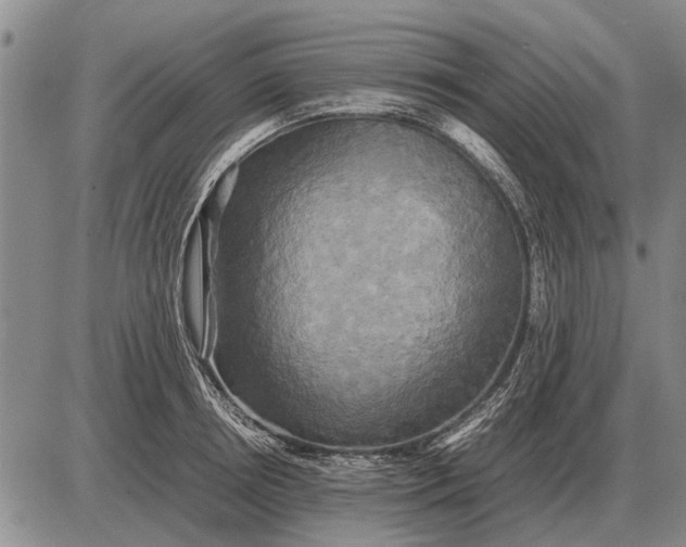 X0000085270850200703231739