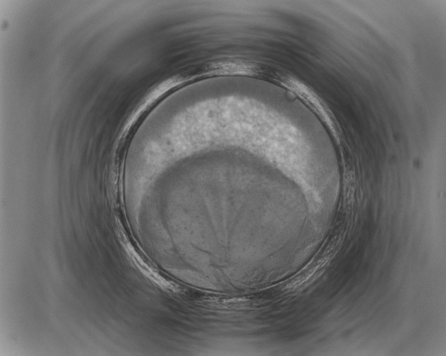 X0000085270851200703231739