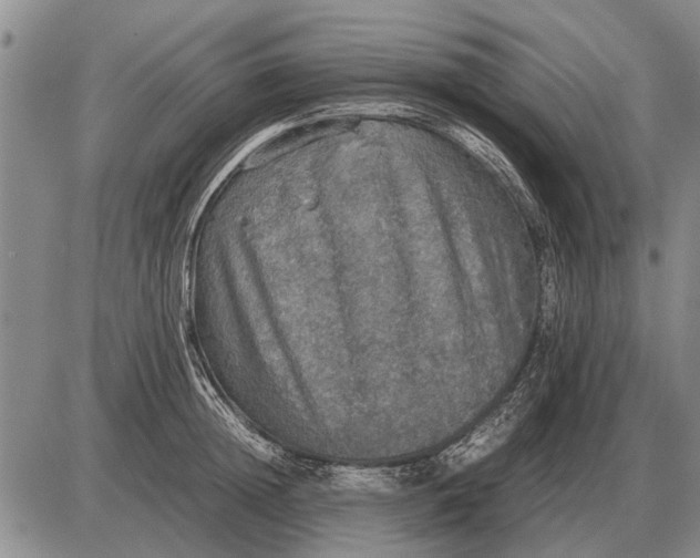 X0000085270852200703231739