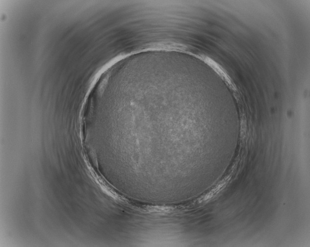 X0000085270854200703231739