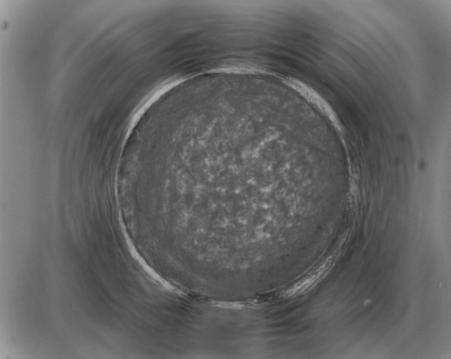 X0000085270855200703231739