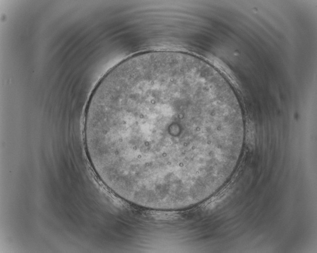 X0000085270856200703231739