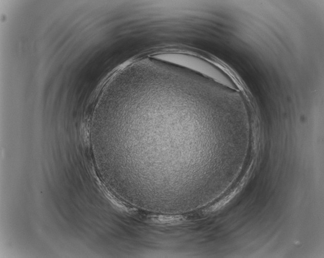 X0000085270857200703231739