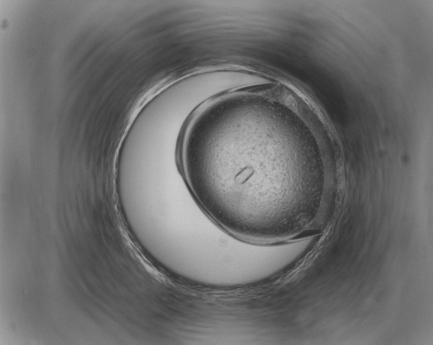 X0000085270858200703231739