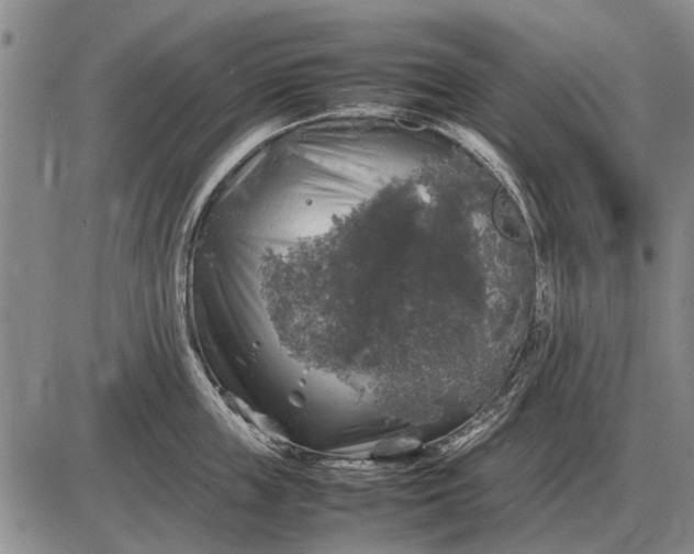 X0000085270859200703231739