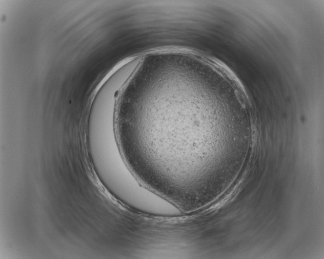 X0000085270860200703231739