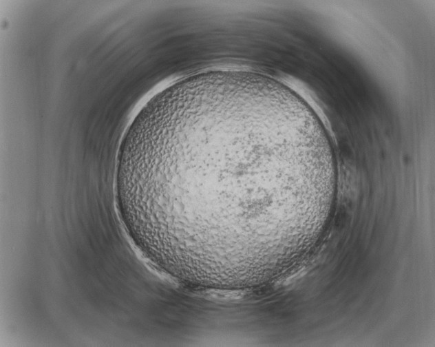 X0000085270861200703231739