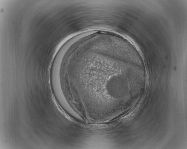 X0000085270862200703231739