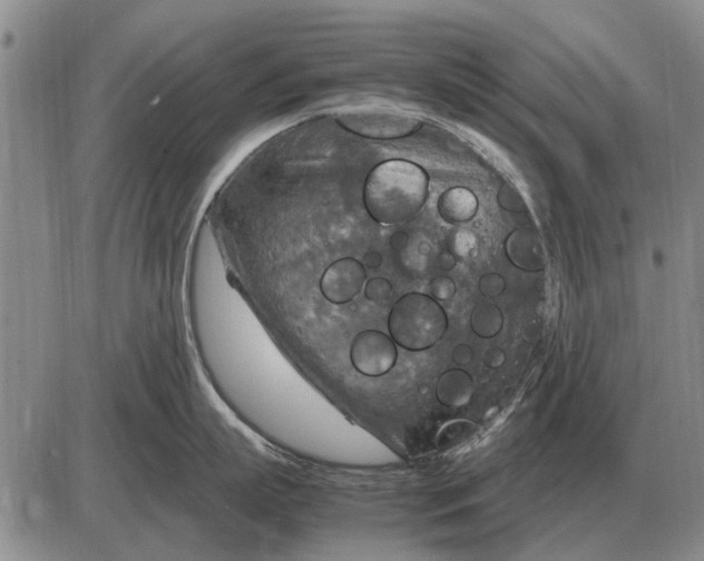 X0000085270863200703231739