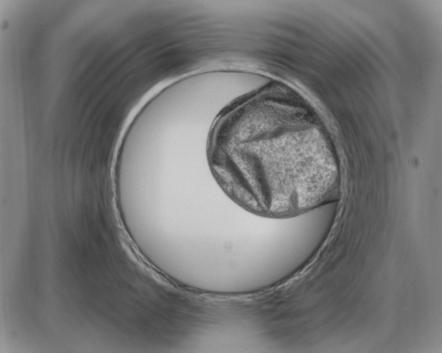 X0000085270864200703231739