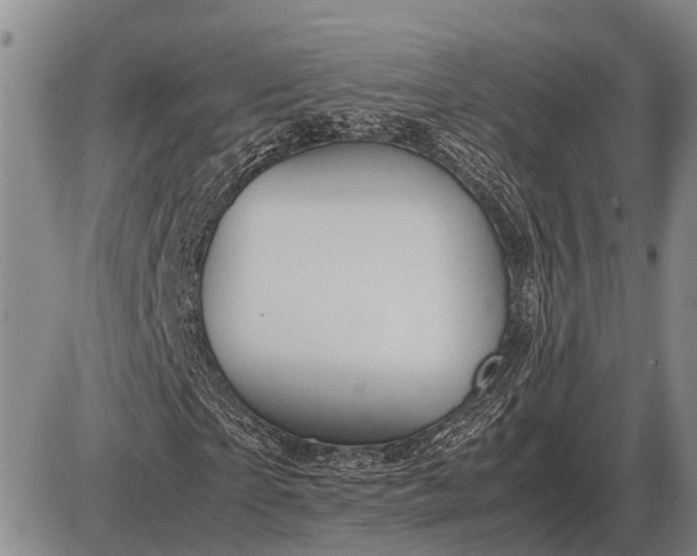 X0000085270865200703231738