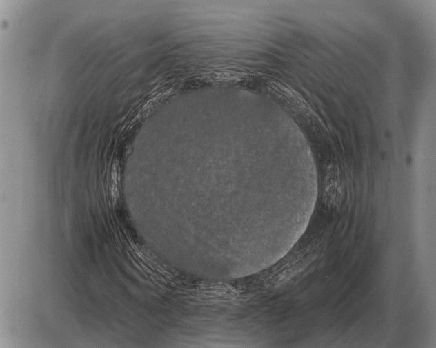 X0000085270866200703231738