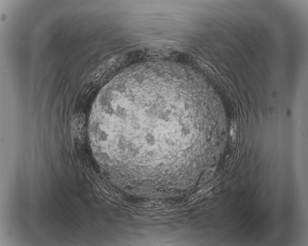 X0000085270867200703231738