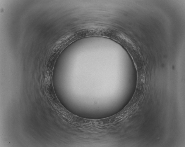 X0000085270869200703231738