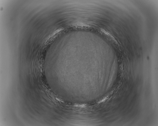 X0000085270870200703231738