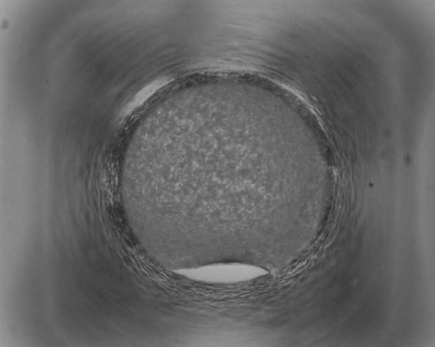 X0000085270871200703231738