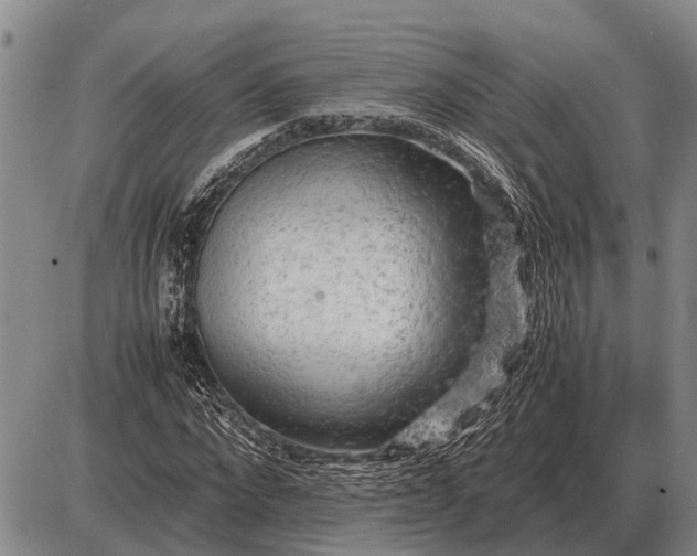 X0000085270872200703231738