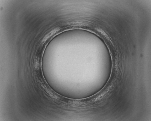 X0000085270873200703231738