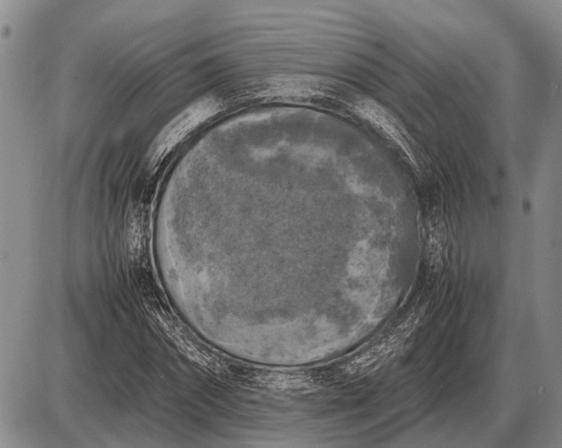 X0000085270874200703231738