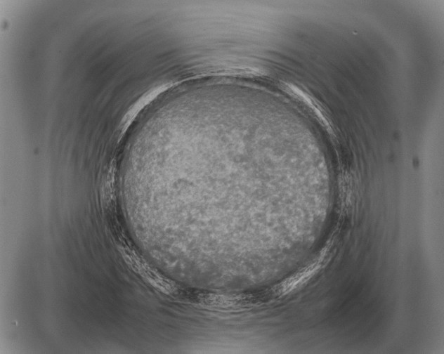 X0000085270875200703231738