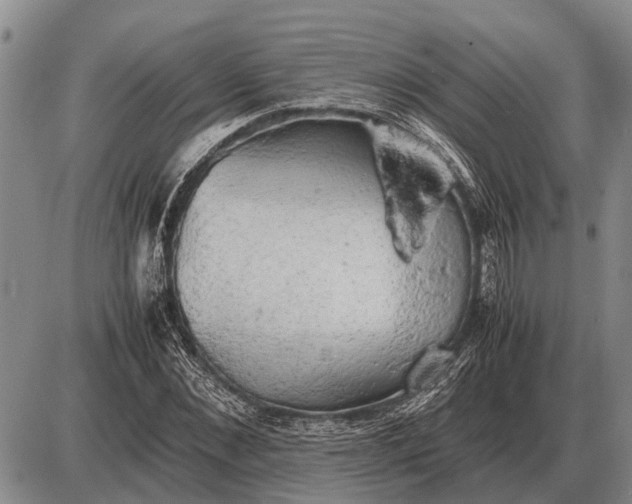 X0000085270876200703231738