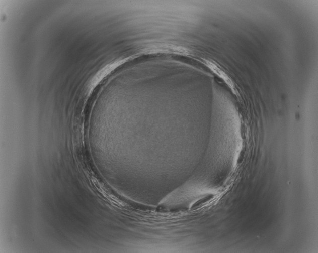 X0000085270877200703231738