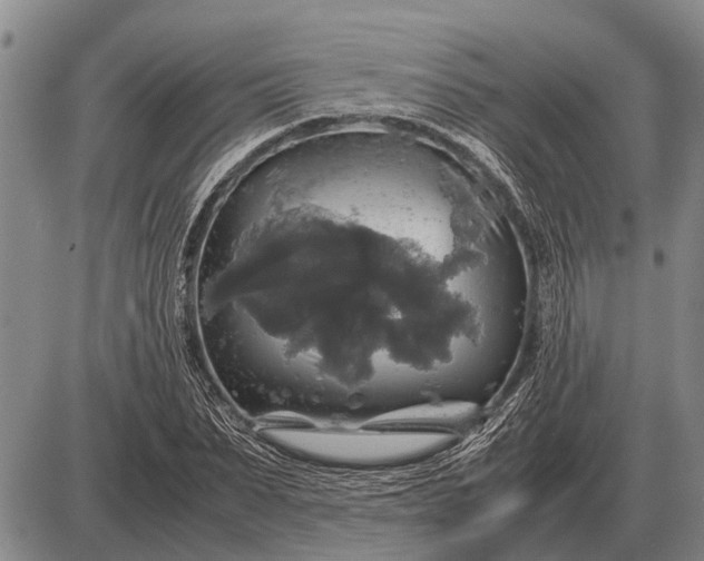 X0000085270879200703231738