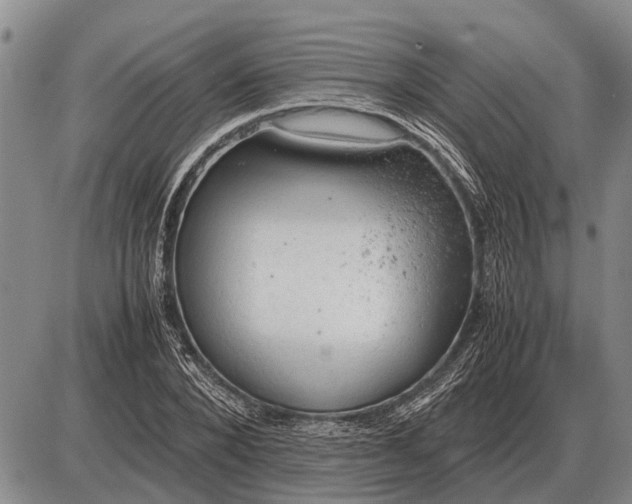 X0000085270880200703231738