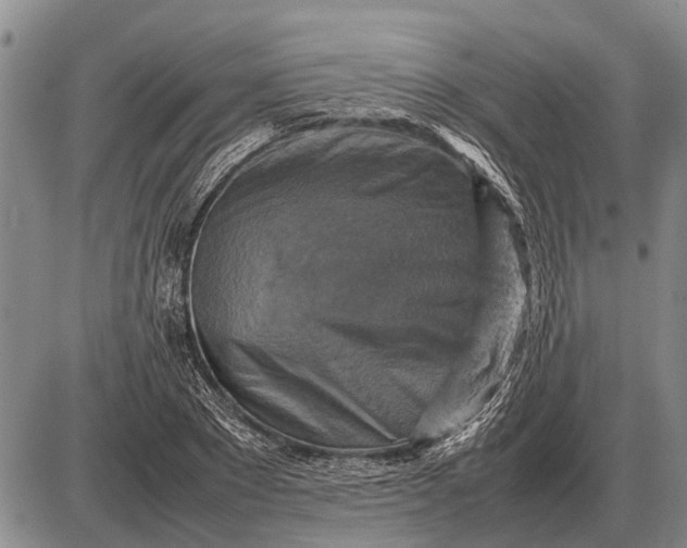 X0000085270881200703231738