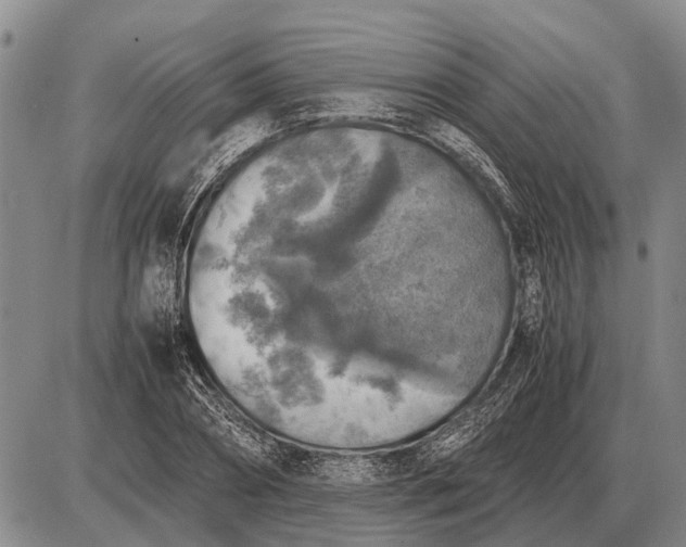 X0000085270882200703231738