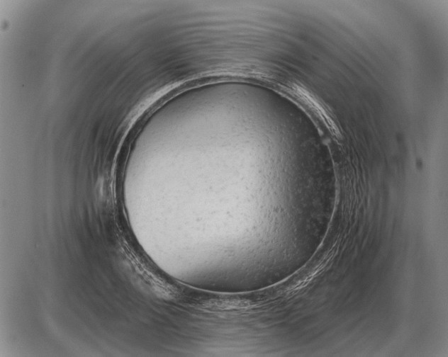 X0000085270884200703231738