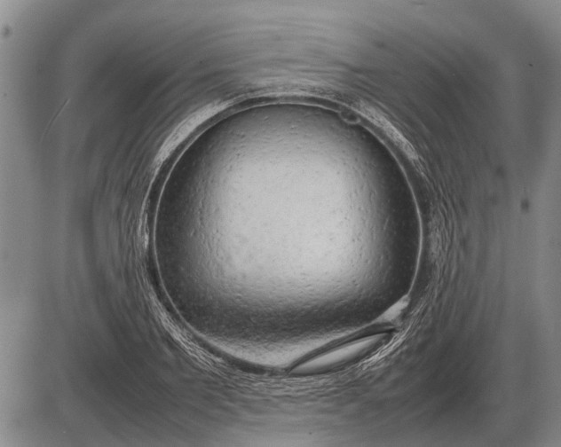 X0000085270885200703231738