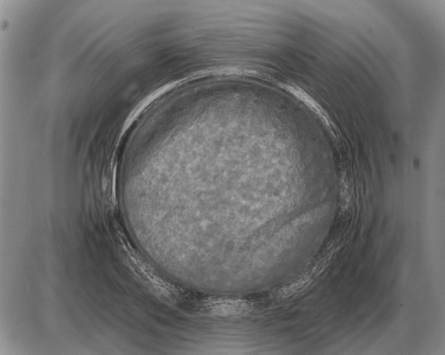 X0000085270886200703231738