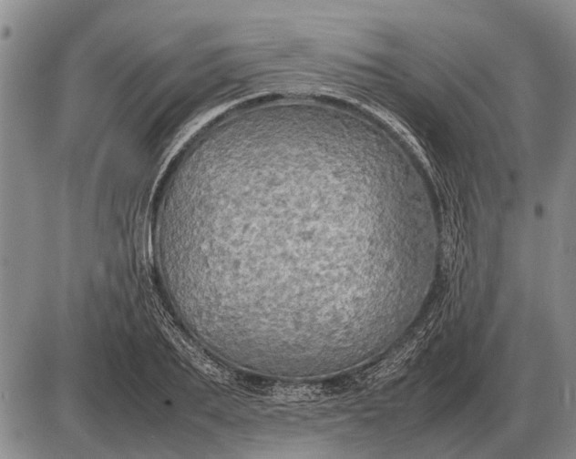 X0000085270887200703231738