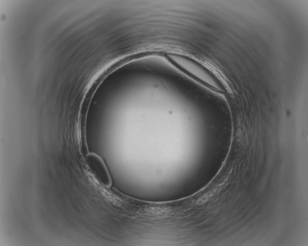 X0000085270888200703231738