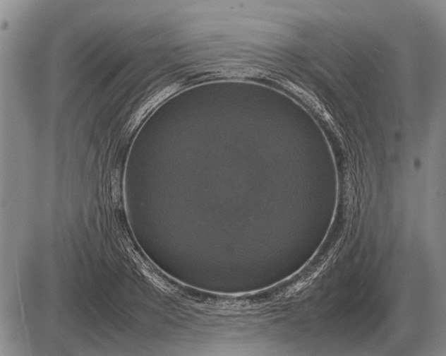 X0000085270889200703231738