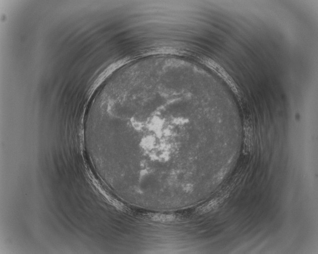 X0000085270890200703231738