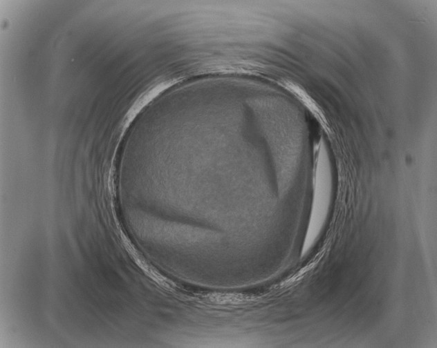 X0000085270893200703231738