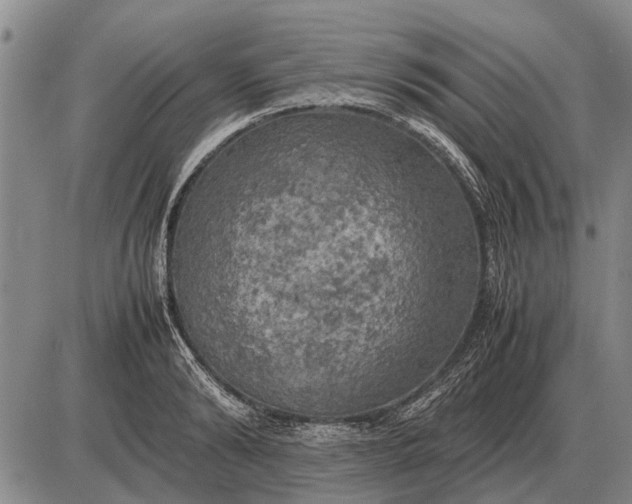 X0000085270894200703231738