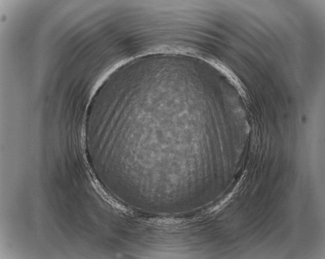 X0000085270896200703231738