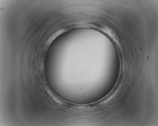 X0000085270897200703231738