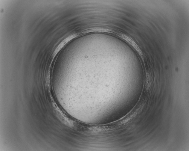 X0000085270898200703231738