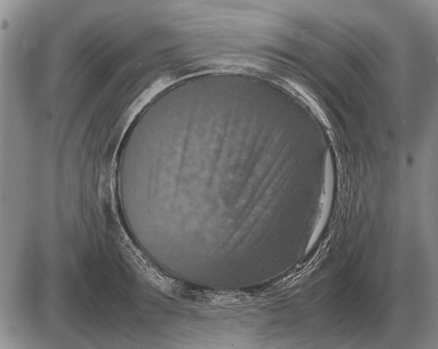 X0000085270899200703231738