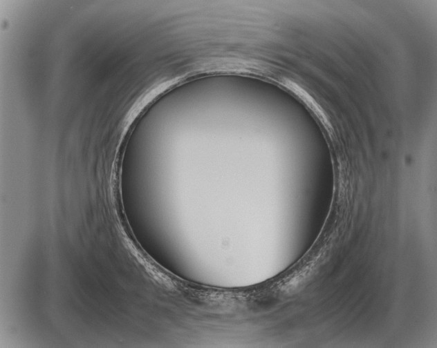 X0000085270901200703231738