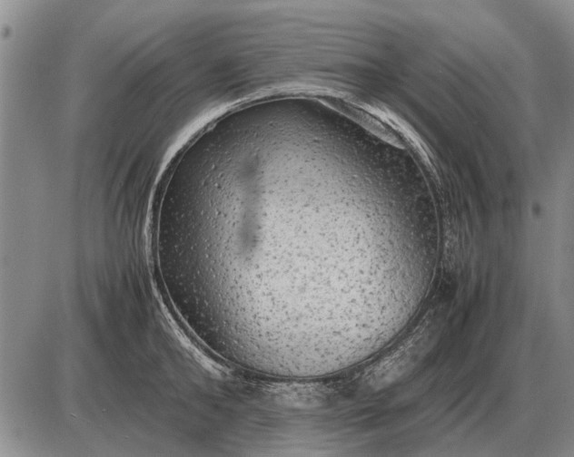 X0000085270902200703231738