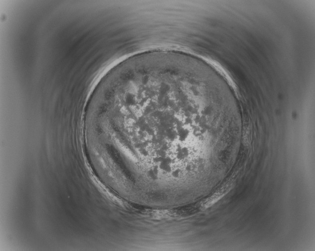 X0000085270903200703231738