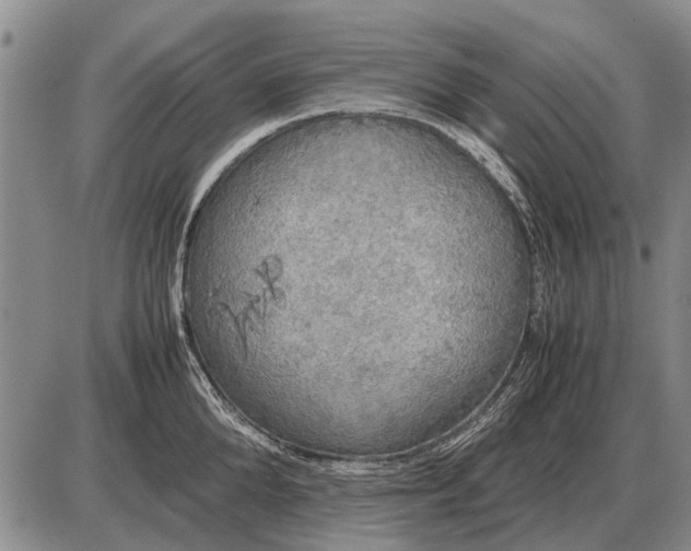 X0000085270904200703231738